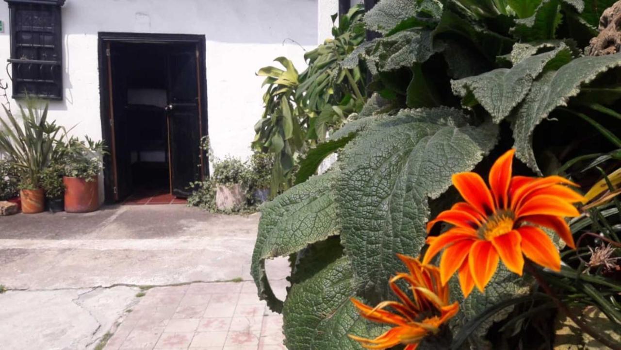 El Yarumo Hostel 보고타 외부 사진